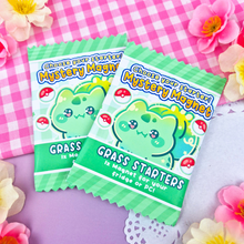 Load image into Gallery viewer, PKM Ghost + Starters Mystery Magnet Blind Bag